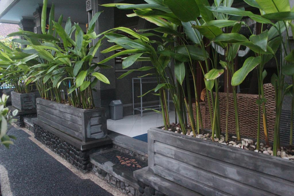 קוטה לומבוק Letos Kubu Homestay מראה חיצוני תמונה