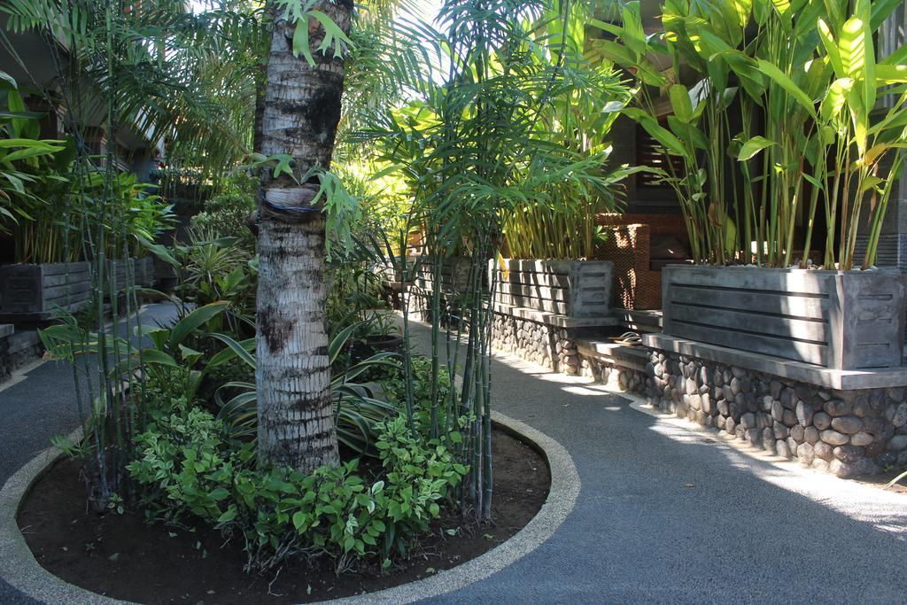 קוטה לומבוק Letos Kubu Homestay מראה חיצוני תמונה