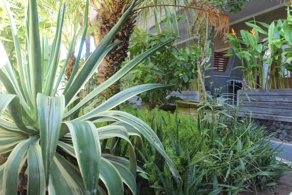 קוטה לומבוק Letos Kubu Homestay מראה חיצוני תמונה