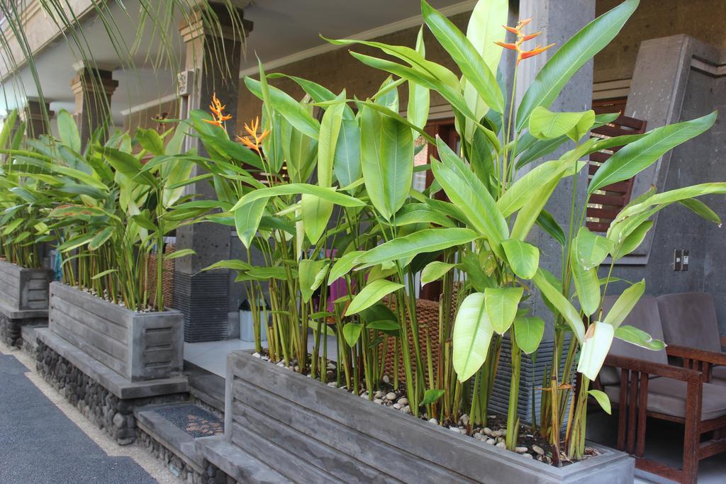 קוטה לומבוק Letos Kubu Homestay מראה חיצוני תמונה