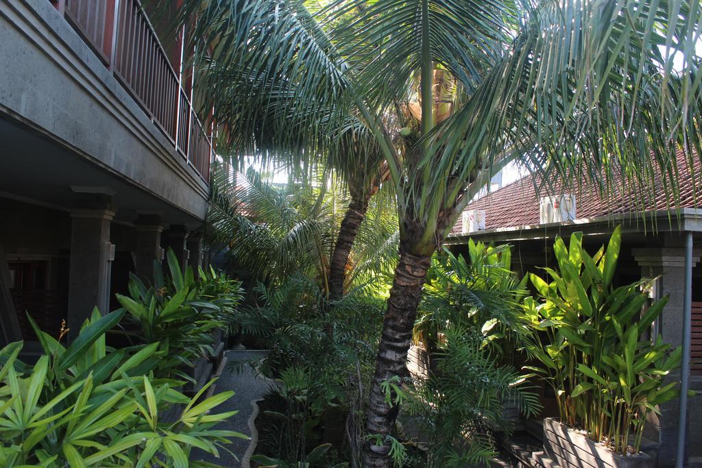 קוטה לומבוק Letos Kubu Homestay מראה חיצוני תמונה