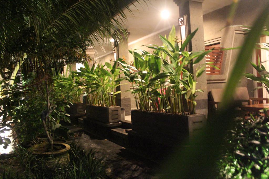 קוטה לומבוק Letos Kubu Homestay מראה חיצוני תמונה